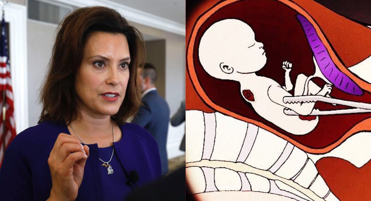 Michigan Governor Gretchen Whitmer: Abortion is 'life-sustaining'