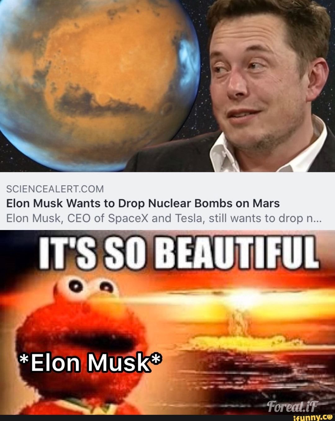 Meme of the day: Please Do Not Nuke Mars, Elon - The Daily Report