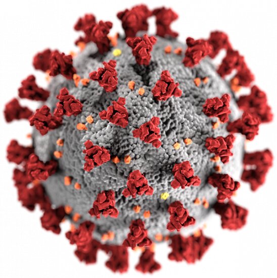 Virus already in Italy by December, sewers show