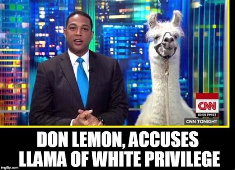 Meme of the day: Whenever You See Don Lemon on TV, You Know You'll Get 0 Knowledge - The Daily Report