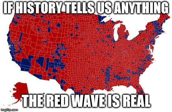 Meme of the day: As Blue Wave Slowly Subside, Red Wave To Hit Shores In November 2020? - The Daily Report