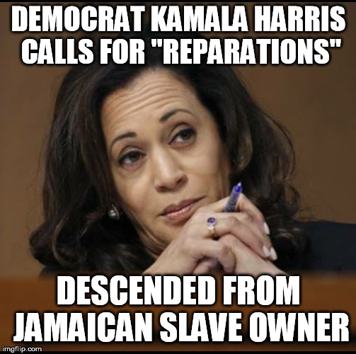 Meme of the day: A 'Vice President' Kamala Harris Will Just Make Everything Worst! - The Daily Report