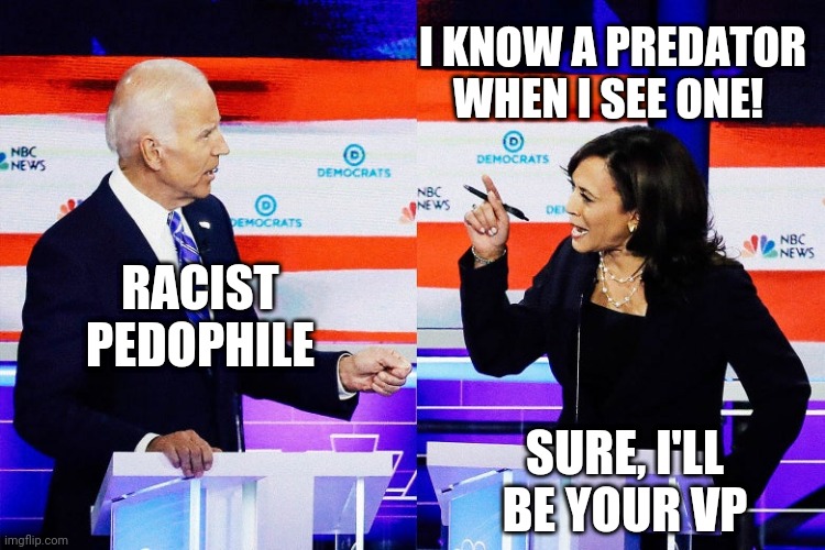 Meme of the day: This Biden-Harris Tandem Still Looks Very Awkward - The Daily Report