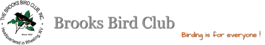 Beginner's Guide to Birding - Brooks Bird Club