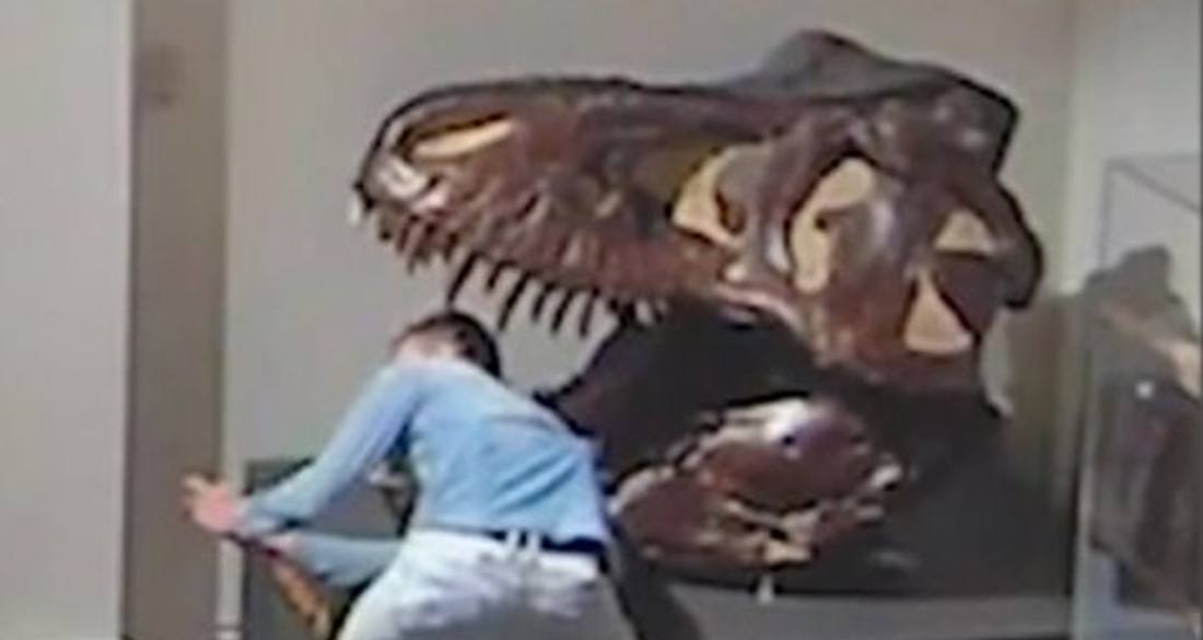 Man Breaks Into Australian Museum To Take Selfies With T. Rex Skull