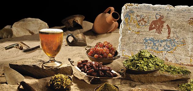 The Beer Archaeologist  | History      | Smithsonian Magazine