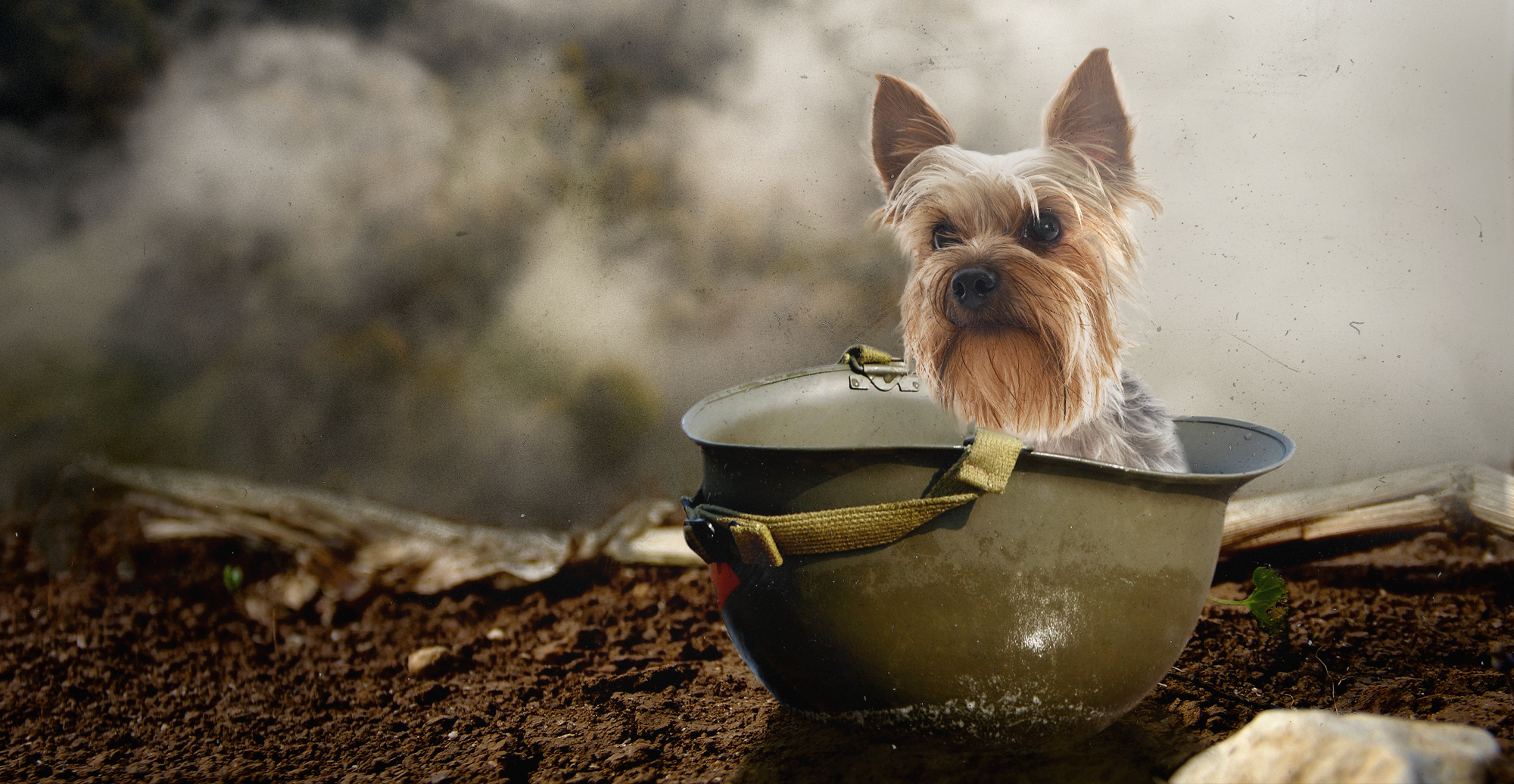 A 7 Inch Yorkie Saved 250 US Soldiers three days of digging and kept 40 US Planes Operational During WWII