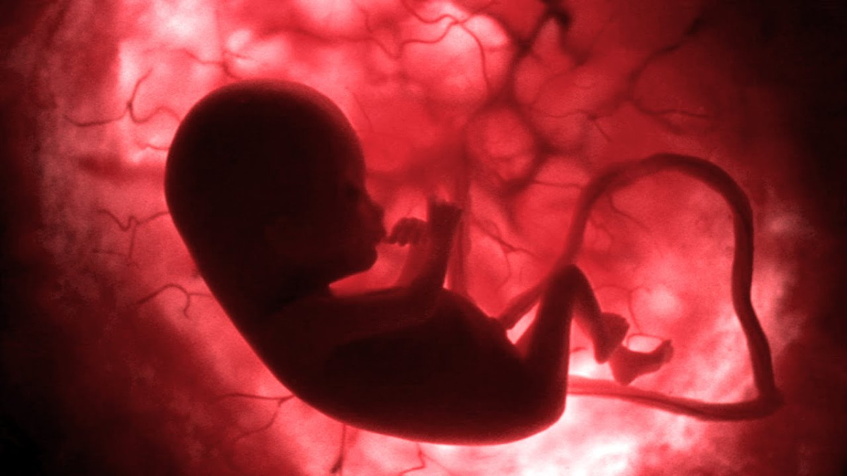 My Defense for the Sanctity of Life in the Womb at the Point of Conception – The Virtual Office of Rob Lundberg