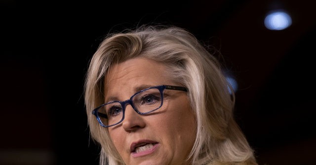 Poll: Liz Cheney’s Political Support Collapses in Wyoming