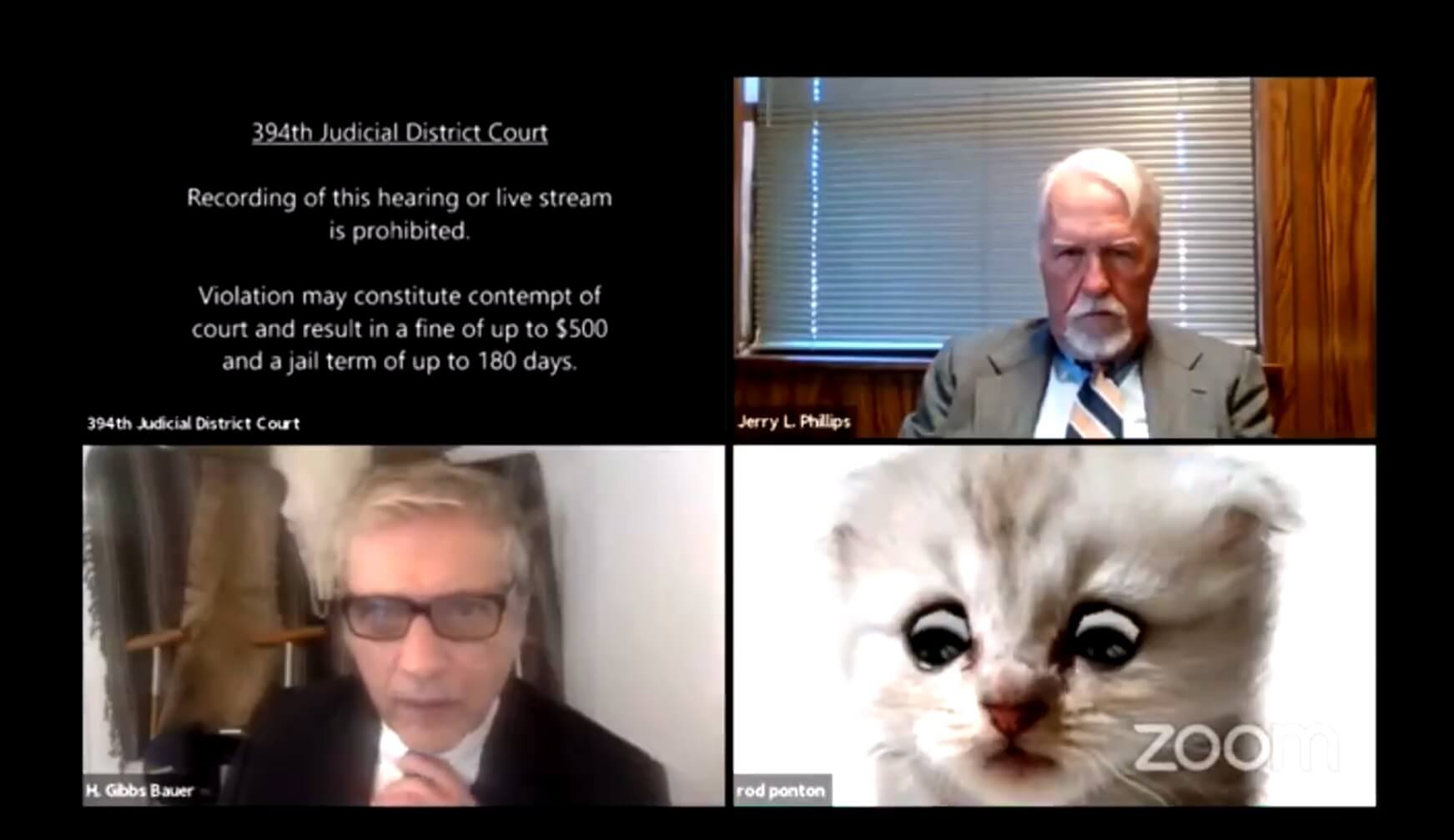 Lawyer Hilariously Stuck in Cat Filter Mode During Zoom Court Hearing - Michigan Humane