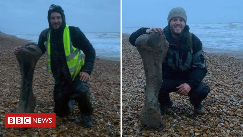 'Mammoth' fossil found on Isle of Wight beach - BBC News