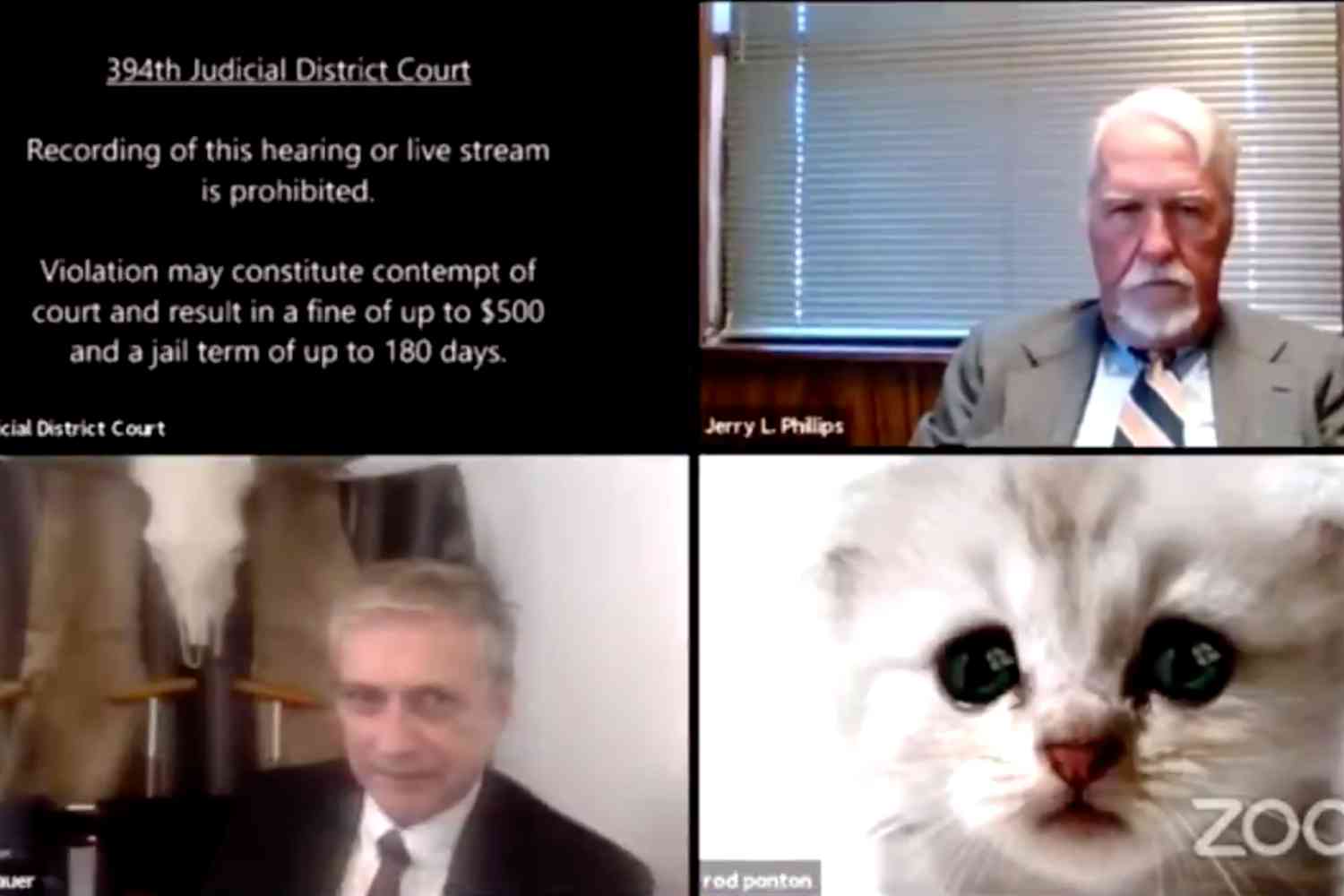 Comedy Break: At a Texas court hearing, a lawyer accidentally shows up with his Zoom filter set to “cat” mode | Disrn