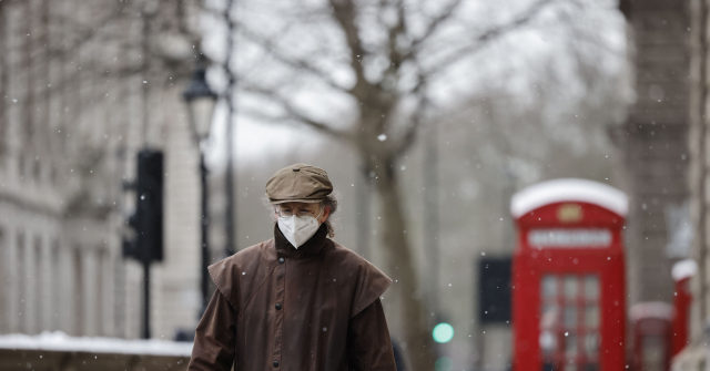 UK Govt Scientist Says Britons Should Wear Masks with THREE Layers