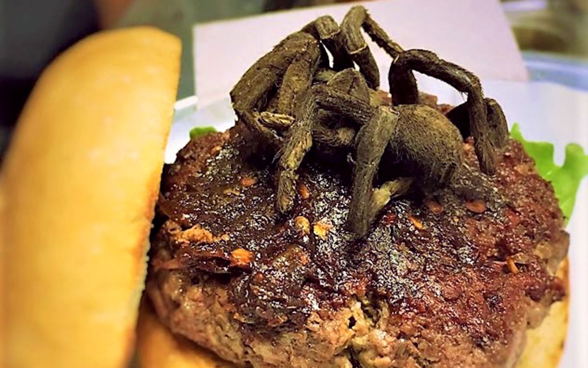 Would You Eat a Tarantula-Topped Burger? | Live Science