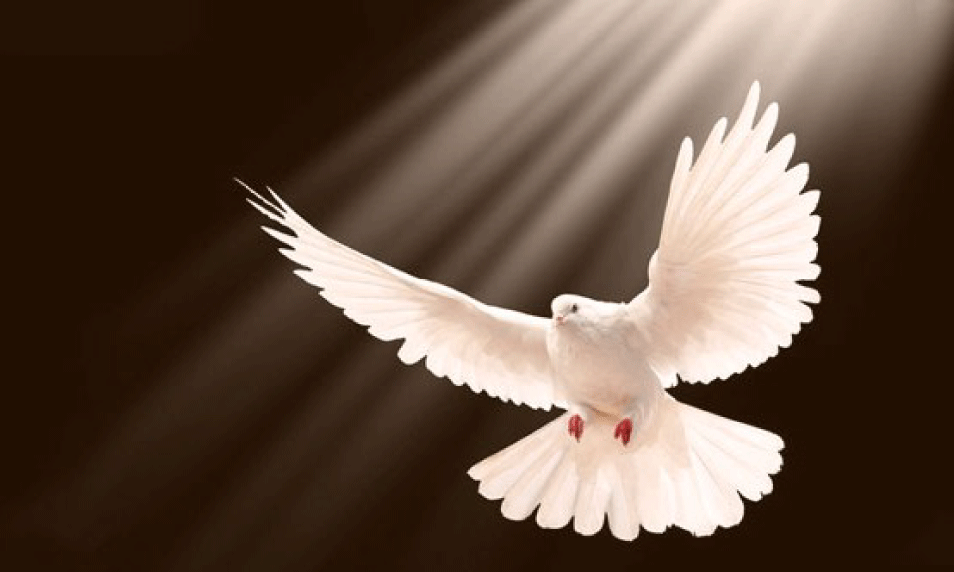 An Outpouring of the Holy Spirit is Coming to Those Who Honor His Presence - Roman Catholic Man