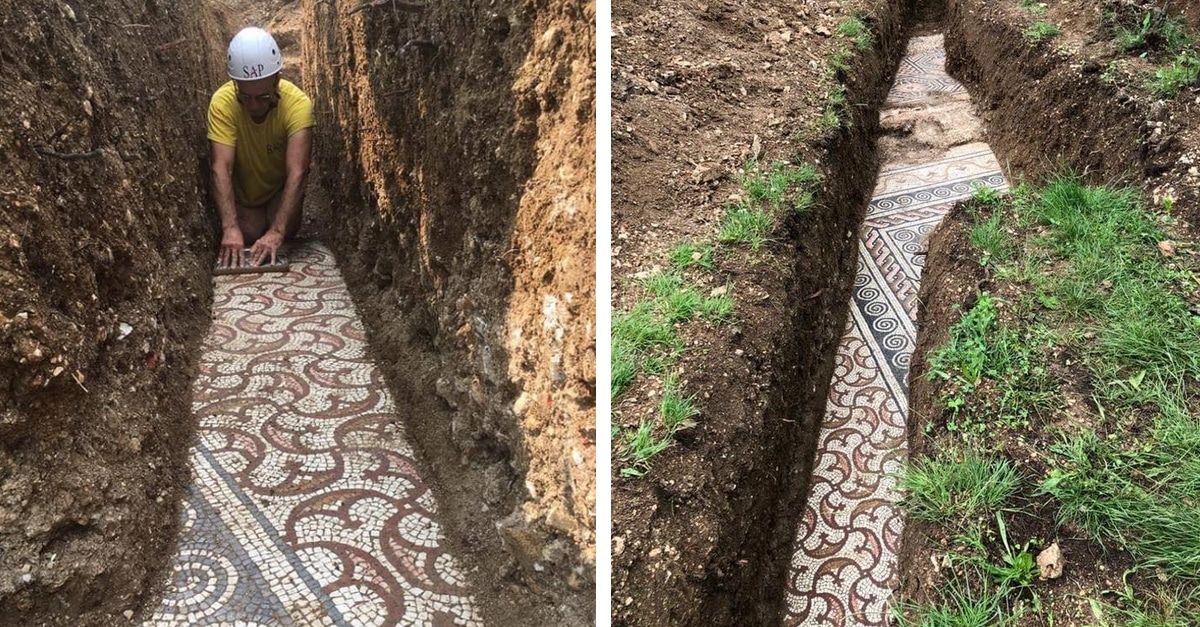 Archeologists Unearth Ancient Roman Mosaic Under a Vineyard