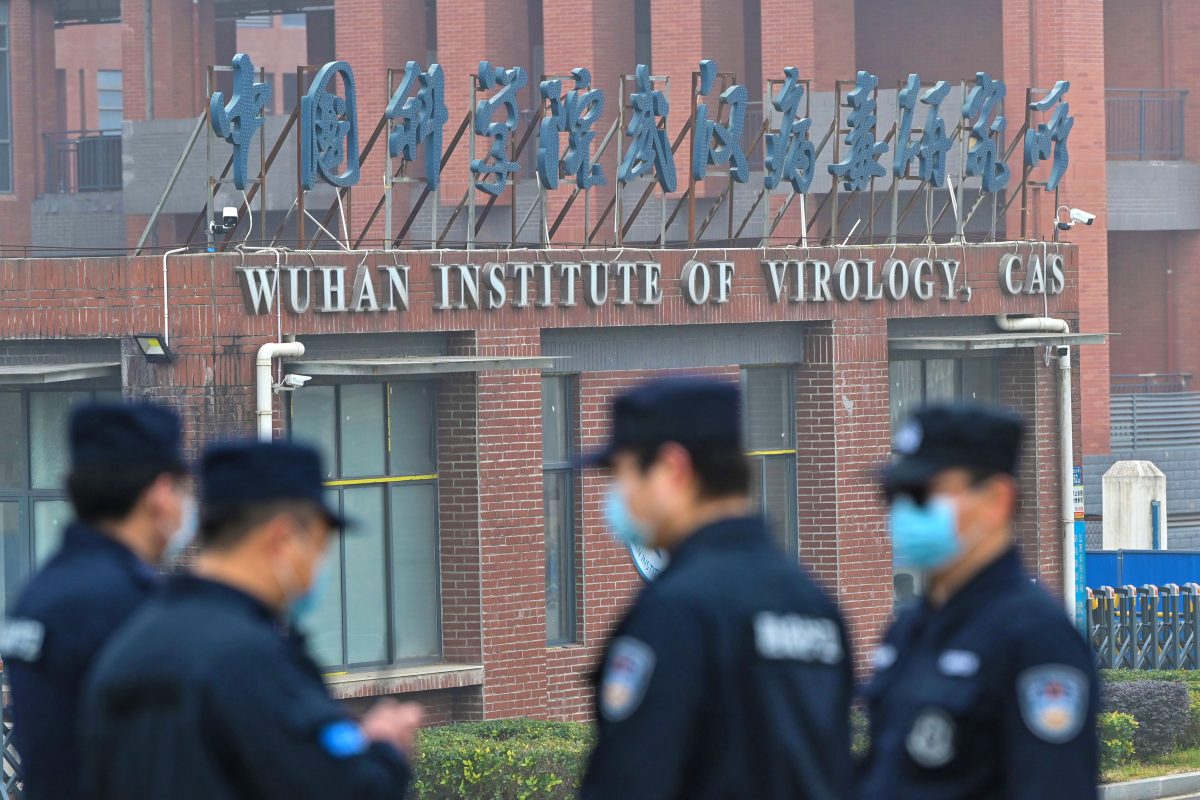 New Disturbing Details Emerge About Activities Involving The Wuhan Institute Of Virology | The Daily Wire