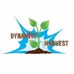 Dynamite Harvest Profile Picture