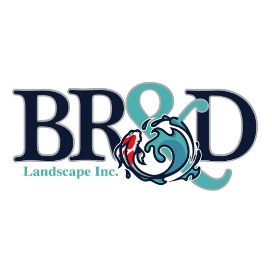 BRD Landscape Profile Picture