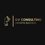 GV Consulting profile picture